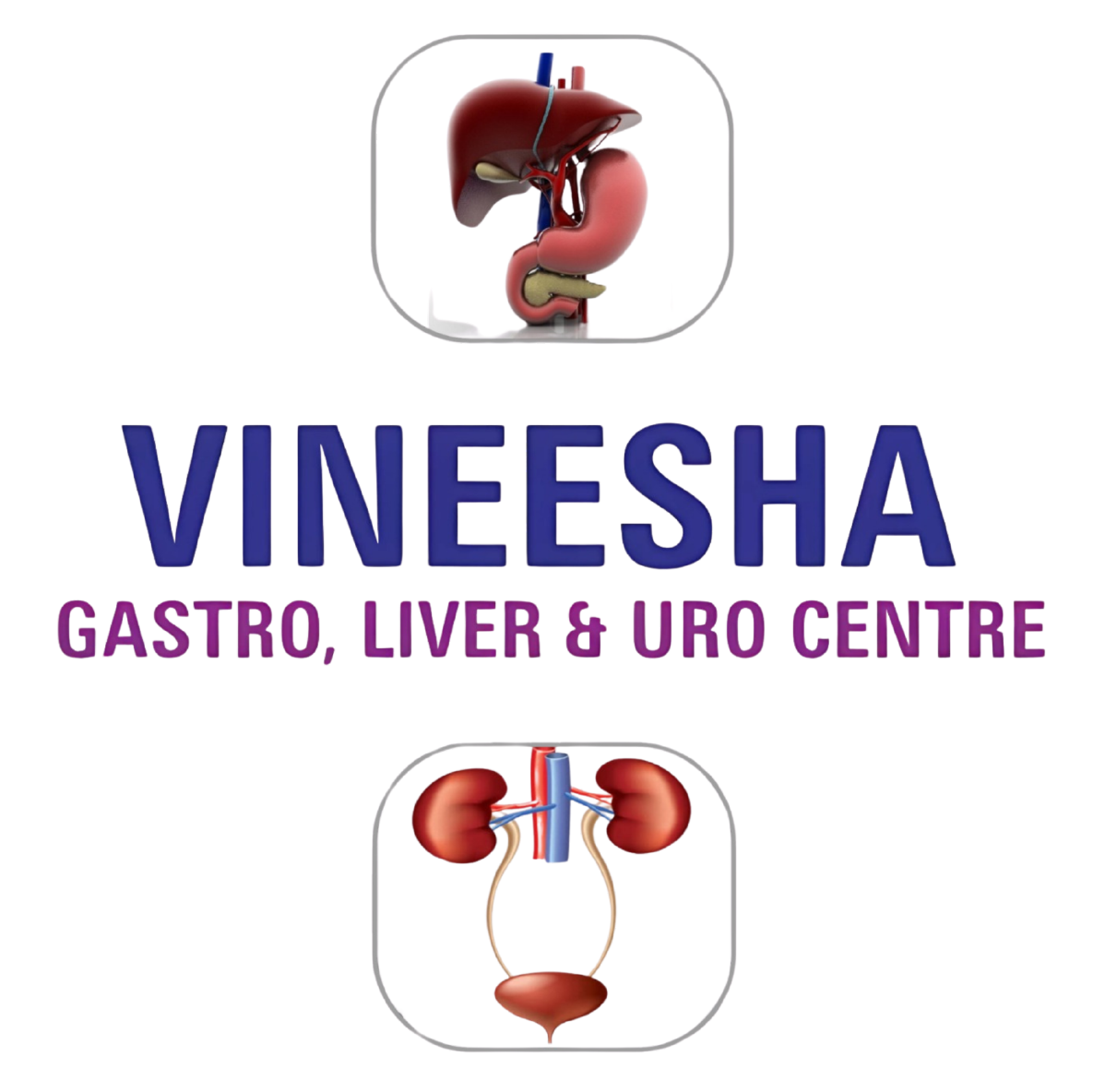 cropped-vineesha-logo1-01-1-1.png